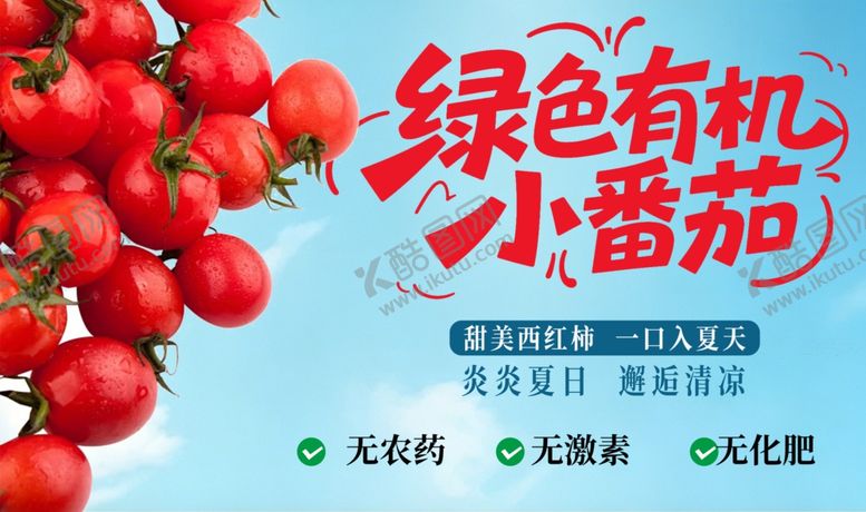 编号：77293505241537348625【酷图网】源文件下载-绿色有机小番茄宣传图