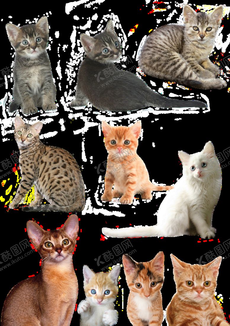 编号：20781509191616185430【酷图网】源文件下载-猫
