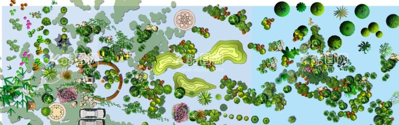 编号：87084212020315405562【酷图网】源文件下载-景观绿植设计平面图