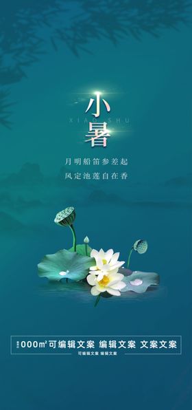 地产小暑海报