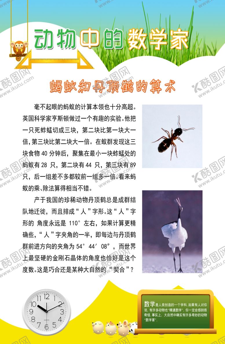 编号：51714507070555008578【酷图网】源文件下载-动物中的数学家