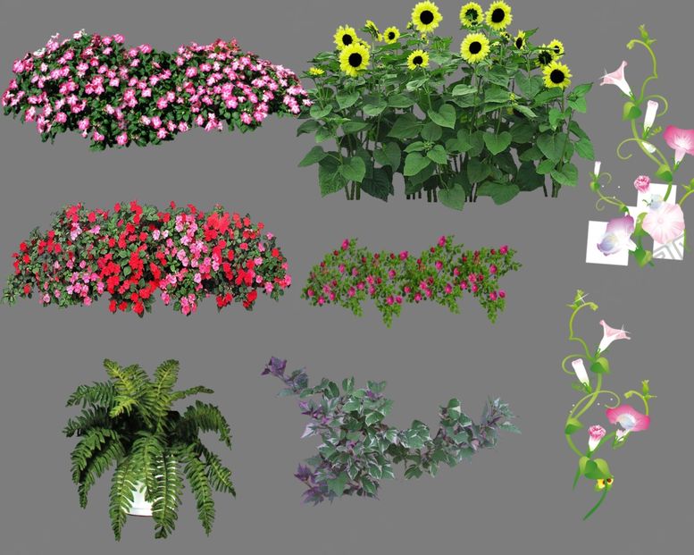 编号：54284809260720111033【酷图网】源文件下载-花团素材