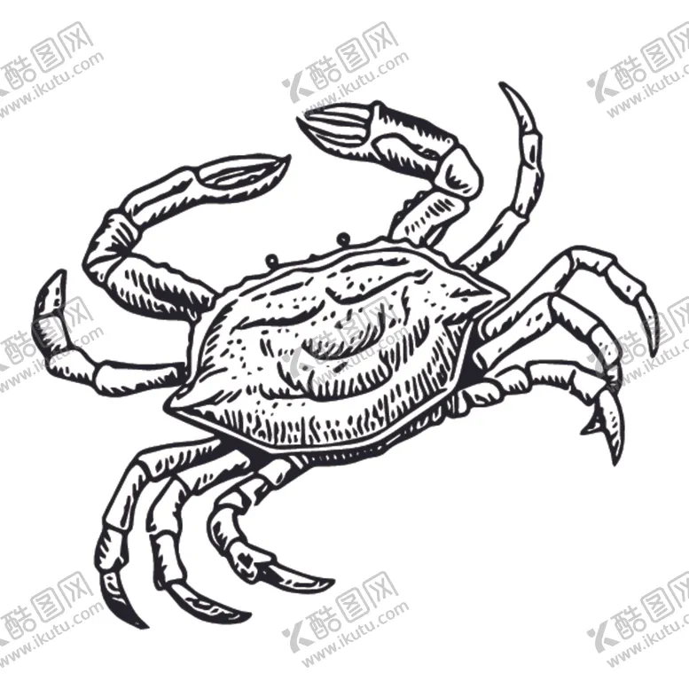 编号：95833009161059372672【酷图网】源文件下载-海洋生物鱼类图案