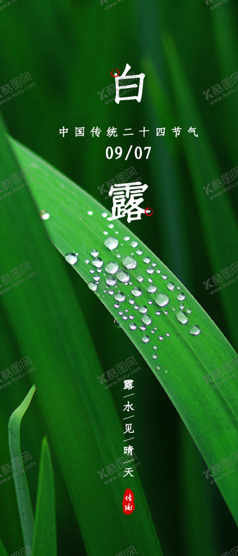 编号：69288007021744115003【酷图网】源文件下载-白露