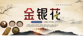 传统中药材金银花