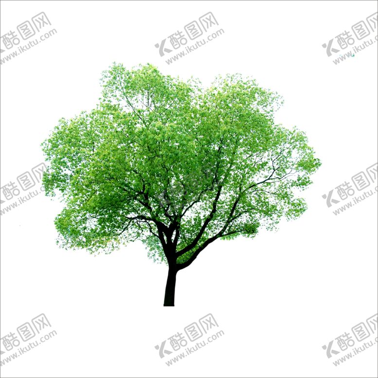 编号：54253010060752431589【酷图网】源文件下载-绿色相框