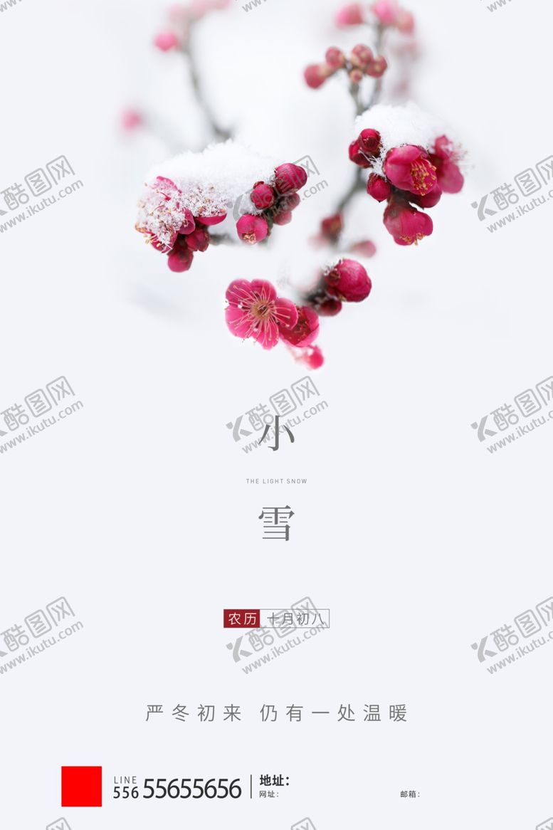 编号：26195605130903164095【酷图网】源文件下载-灰色简约二十四节气小雪节气宣传