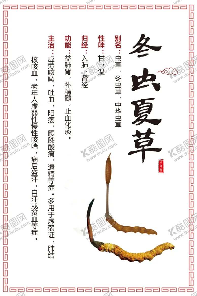 编号：52739706240455016251【酷图网】源文件下载-冬虫夏草草药