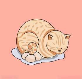 橘猫插画