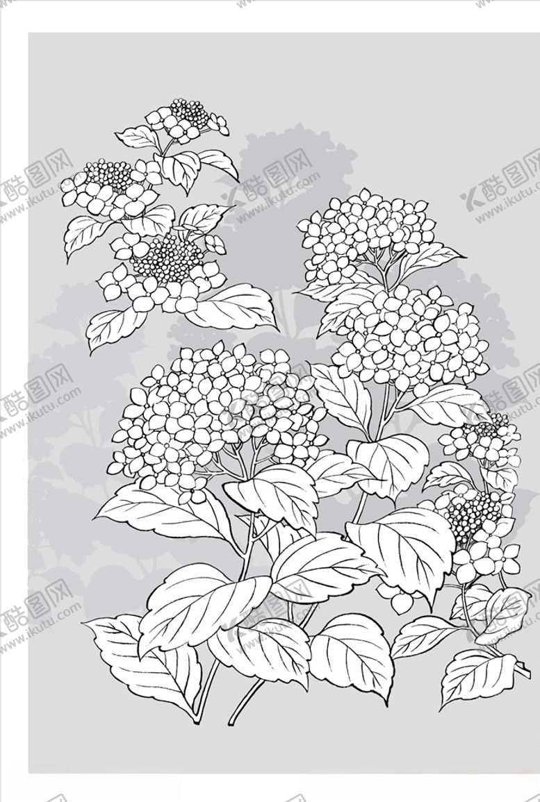 编号：86652810081126543121【酷图网】源文件下载-线描花朵