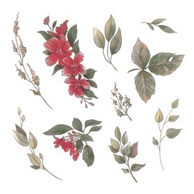 绿植花卉