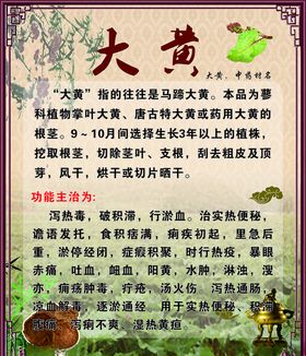 大黄简介
