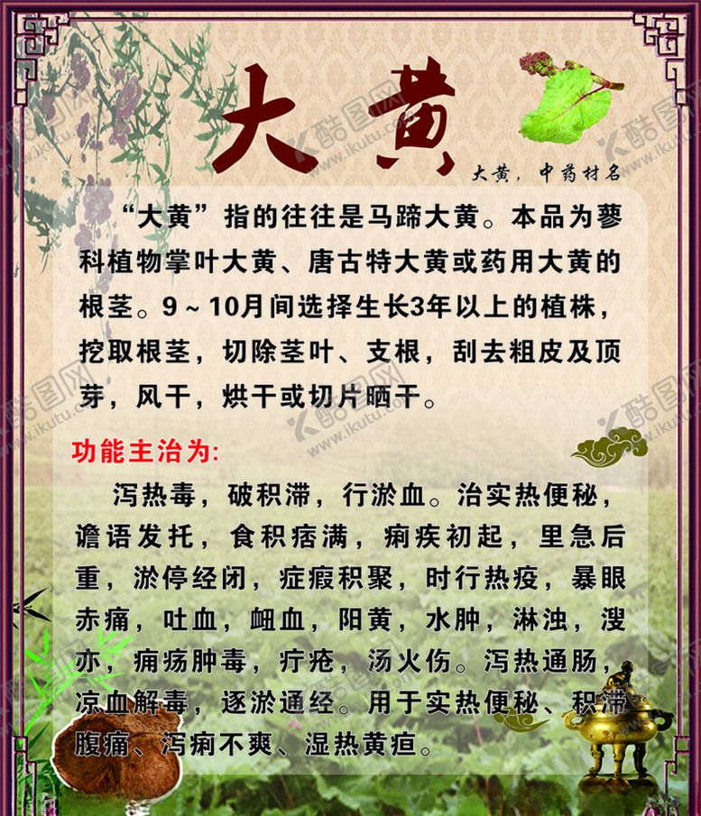 编号：84799010200116267857【酷图网】源文件下载-大黄简介