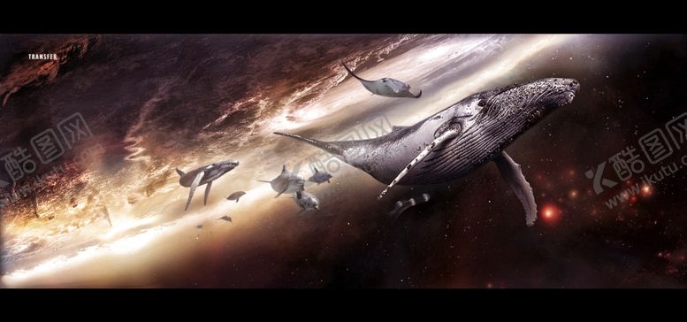 编号：75850706280537039207【酷图网】源文件下载-ps创意合成鲸鱼宇宙航行