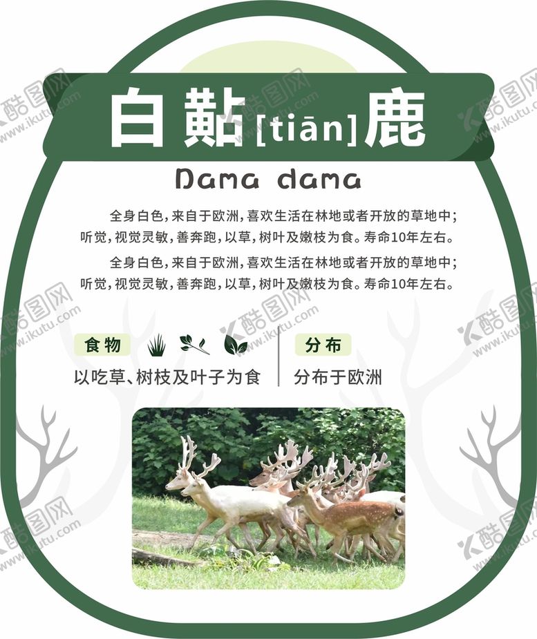 编号：46775901260947338290【酷图网】源文件下载-动物园广告牌白黇鹿
