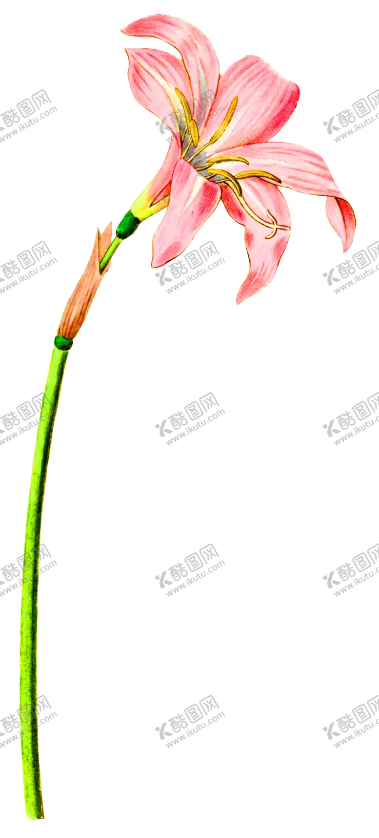 编号：77038006270609037590【酷图网】源文件下载-浪漫素材