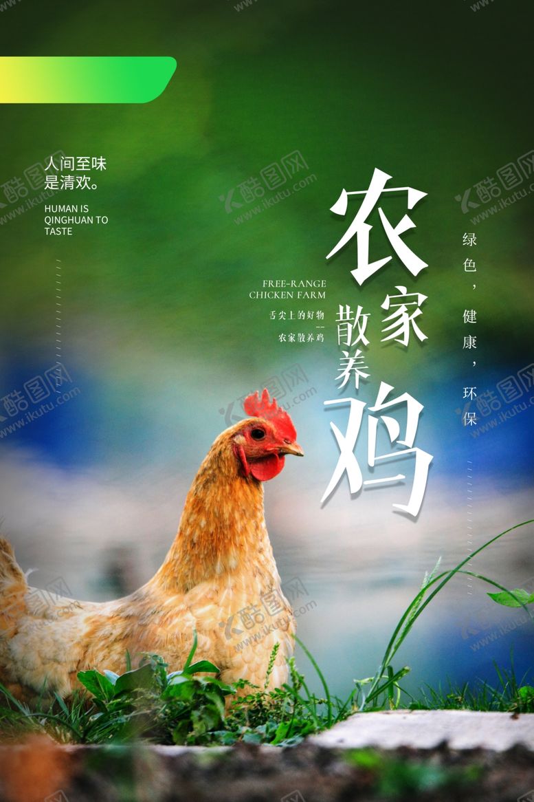编号：60845506280223493720【酷图网】源文件下载-农家鸡生态活动促销宣传海报素材