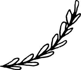 手绘植物枝干