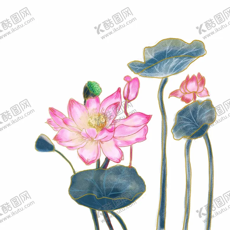 编号：67843210021320481608【酷图网】源文件下载-手绘荷花