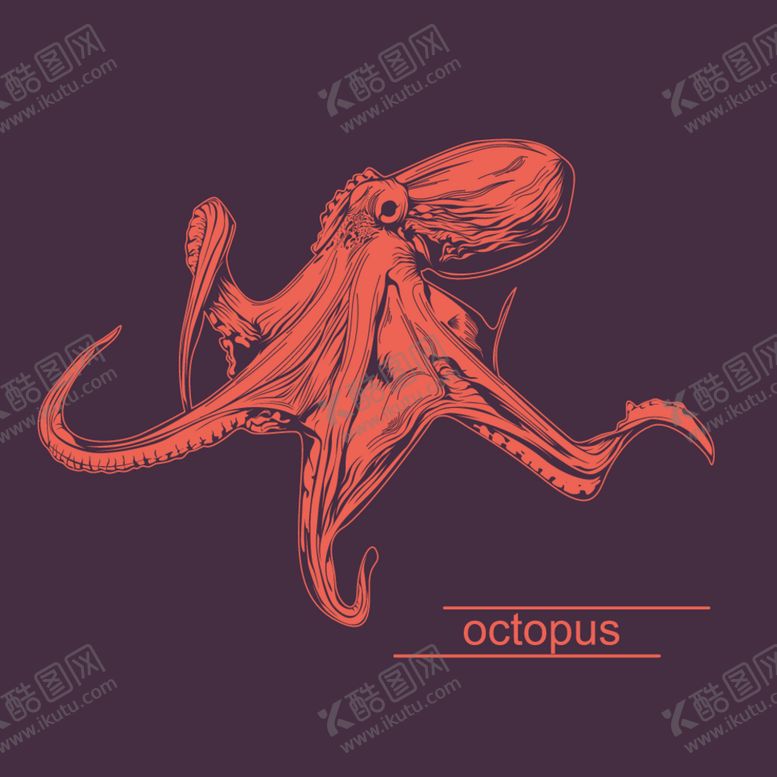 编号：35688610280645051023【酷图网】源文件下载-矢量动物头像