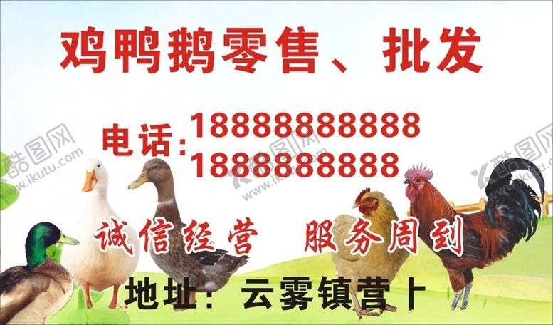 编号：51119403081405511266【酷图网】源文件下载-鸡鸭鹅海报