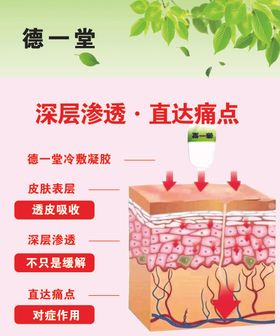 深层皮肤