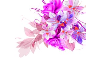 鲜花素材康乃馨勿忘我桔梗