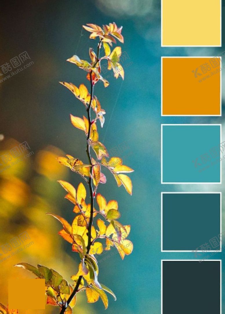 编号：92320610120906508180【酷图网】源文件下载-黄蓝色系