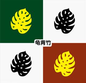 龟背竹 