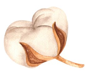 木棉花花朵绘画图案