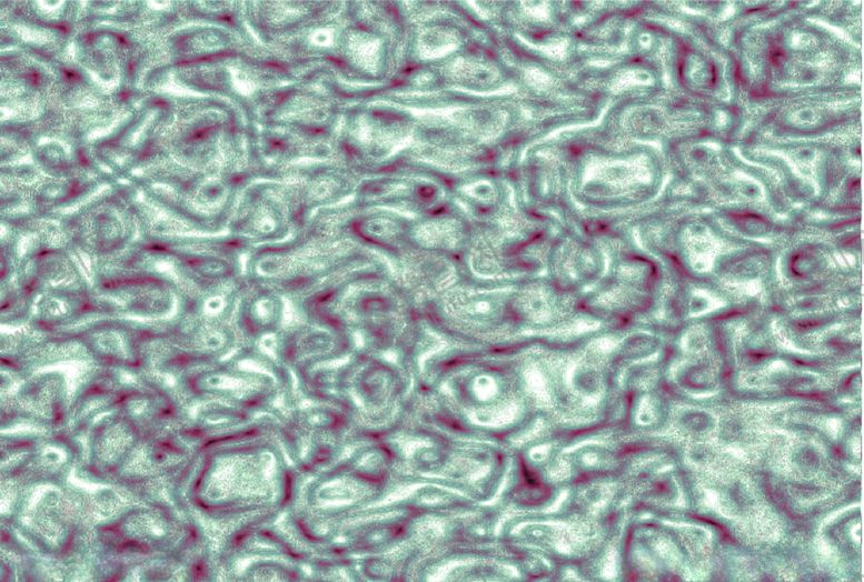 编号：65773910211353296935【酷图网】源文件下载-绿花纹艺术背景