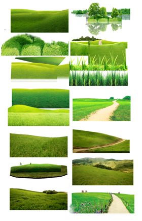 草坪