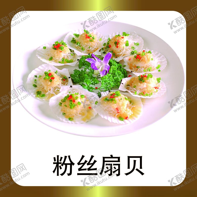编号：98896803141123535437【酷图网】源文件下载-粉丝扇贝