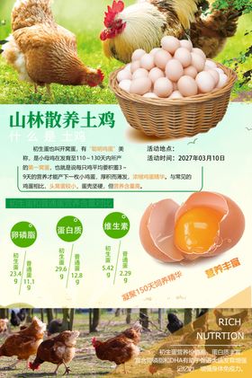 农家土鸡蛋宣传海报