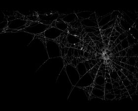 蜘蛛网