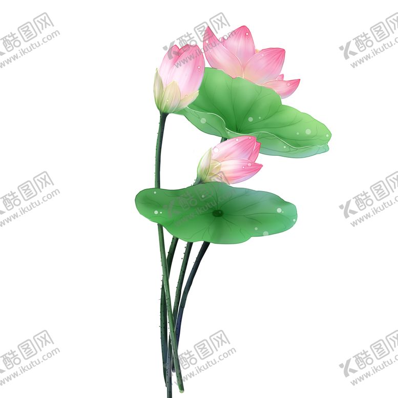 编号：20616705022244111133【酷图网】源文件下载-荷花元素