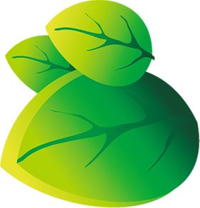 绿色相框