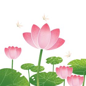 荷花元素叶材植物植物