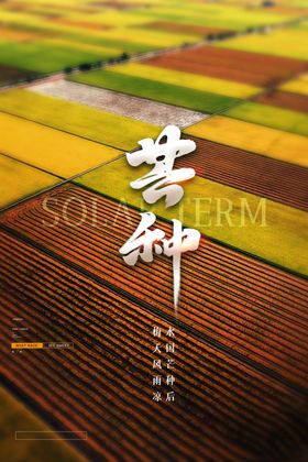 芒种海报广告派单节日飞机稿