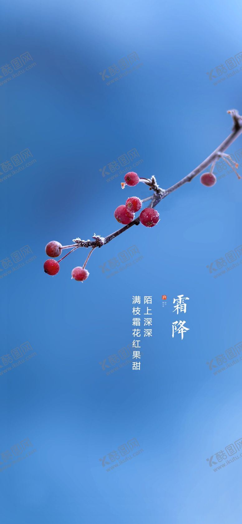 编号：31703804231402486750【酷图网】源文件下载-霜降节气海报