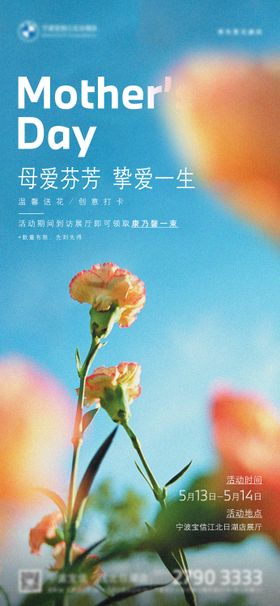 母亲节康乃馨鲜花海报