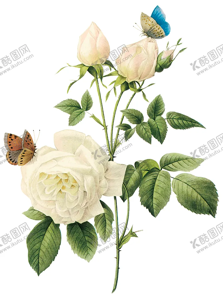 编号：19564607022305392435【酷图网】源文件下载-植物花卉油画装饰画