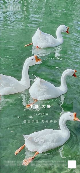 小暑大暑立秋系列海报