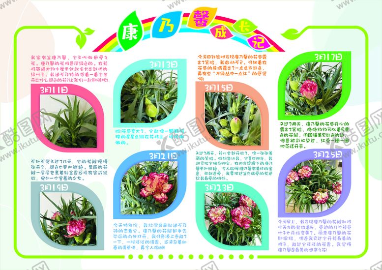 编号：57480109221300440128【酷图网】源文件下载-植物成长日记