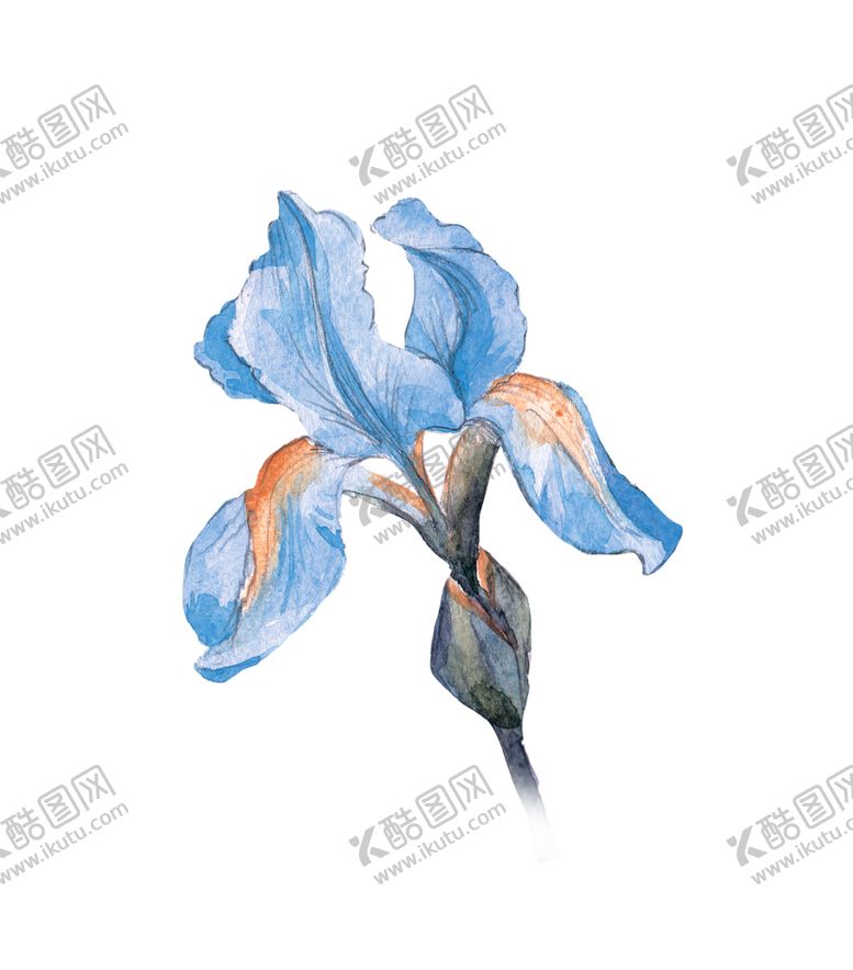 编号：34574305190707209835【酷图网】源文件下载-手绘植物