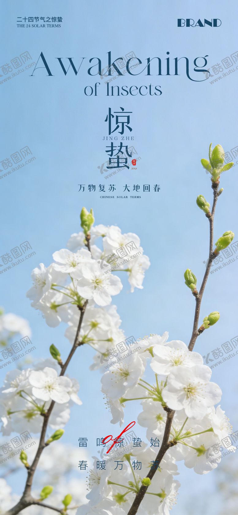 编号：89967903050215308954【酷图网】源文件下载-惊蛰节气海报
