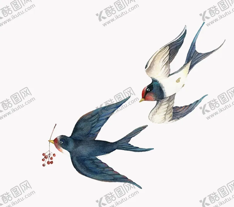 编号：54938605190903596287【酷图网】源文件下载-燕子