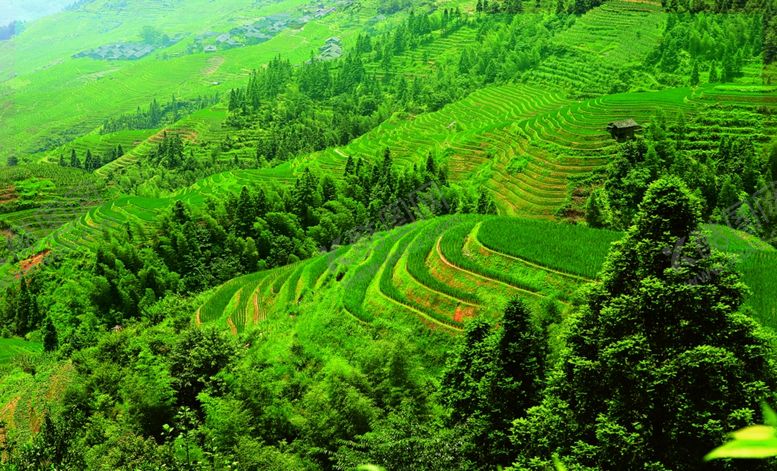 编号：69347109251028559261【酷图网】源文件下载-山间风光