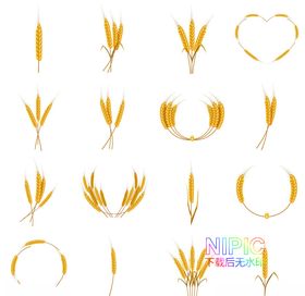 麦穗