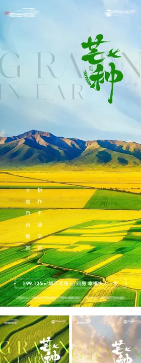 地产芒种节气海报